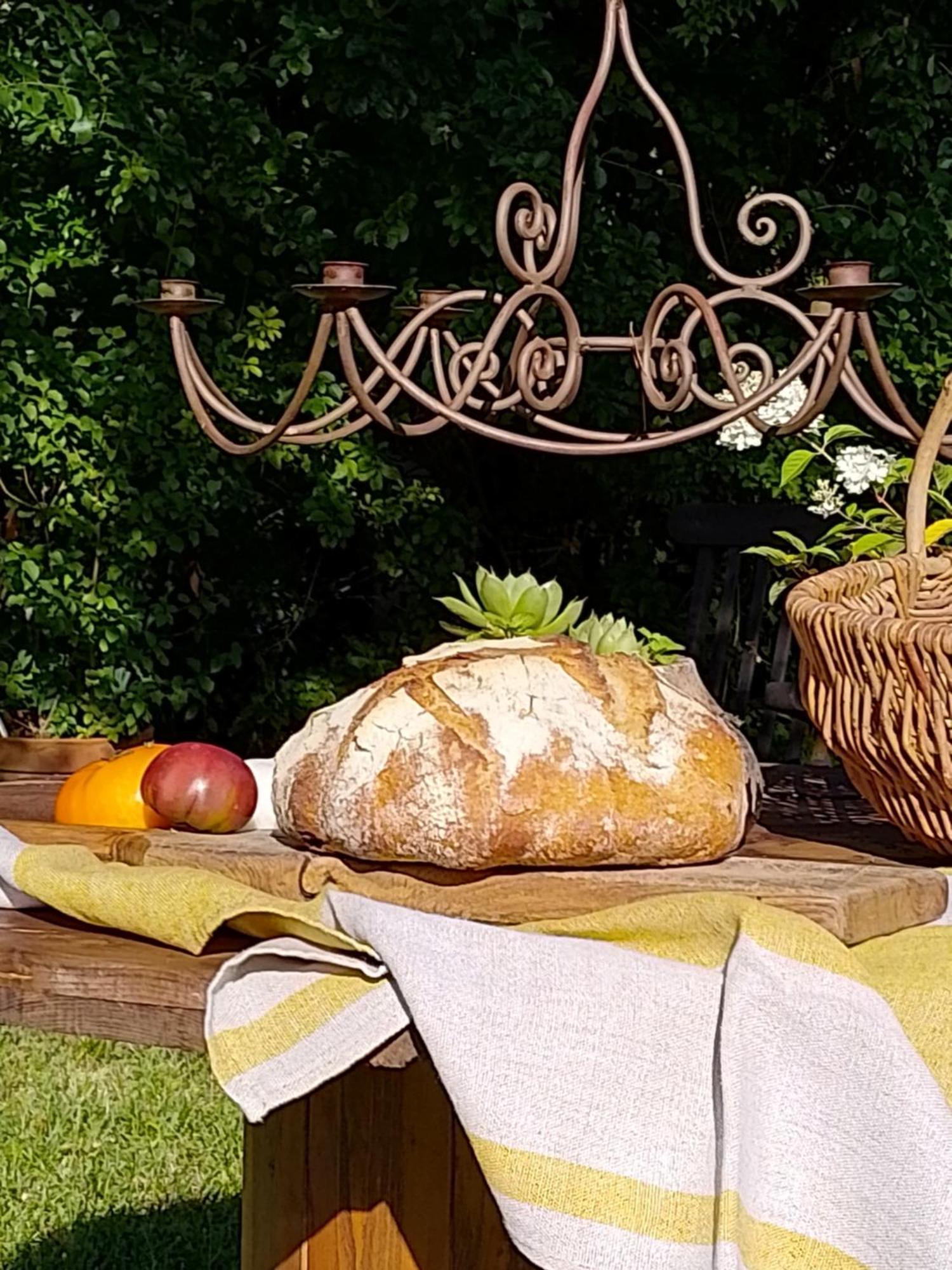Bed and Breakfast Bastida De Beata à Noailles  Extérieur photo