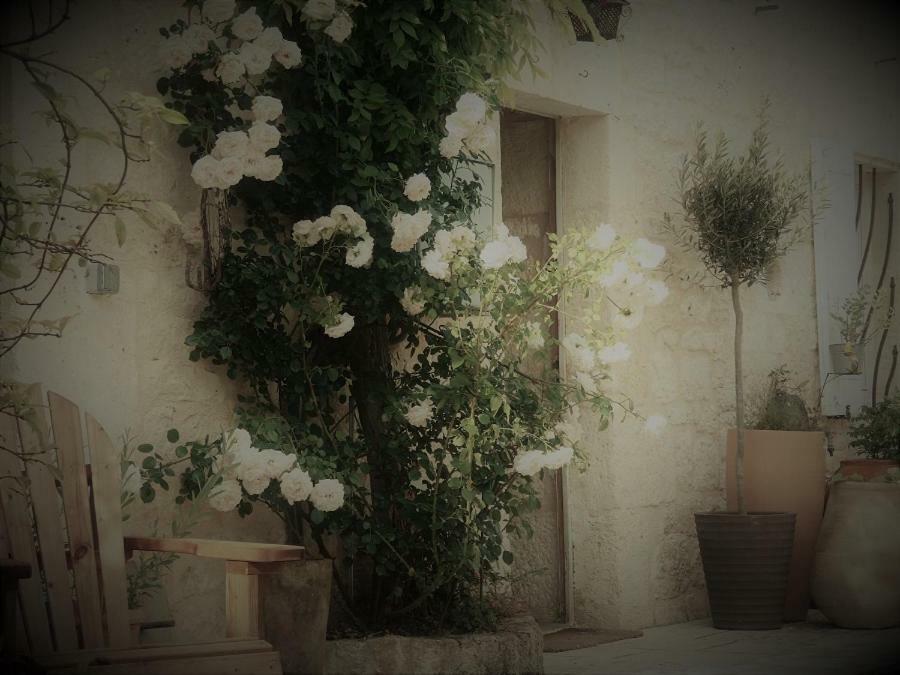 Bed and Breakfast Bastida De Beata à Noailles  Extérieur photo